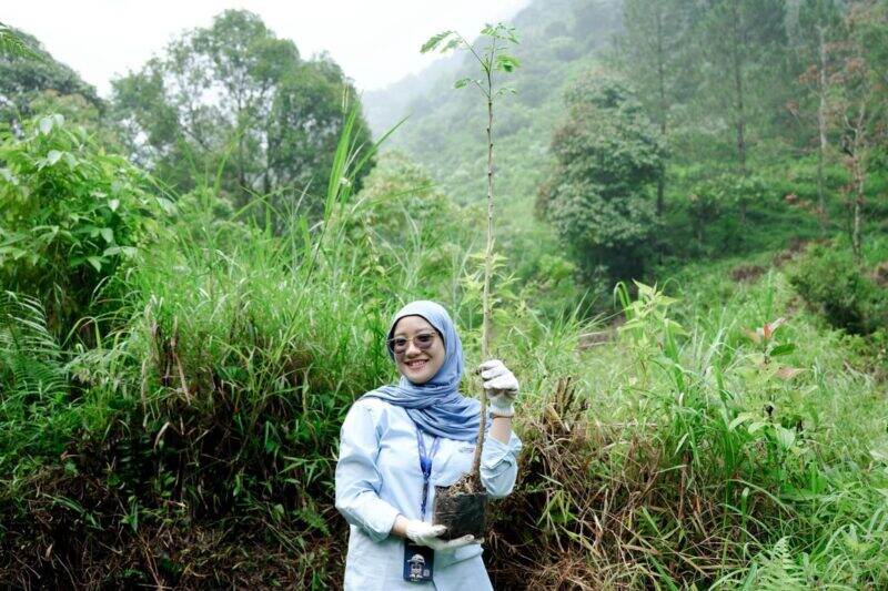 Foto WSBP Tanam Pohon Trembesi – Wujud Nyata Komitmen Berkelanjutan, WSBP Kembali Tanam 318 Pohon Trembesi pada Bulan Mei 2025 | Bisnis | inews.network