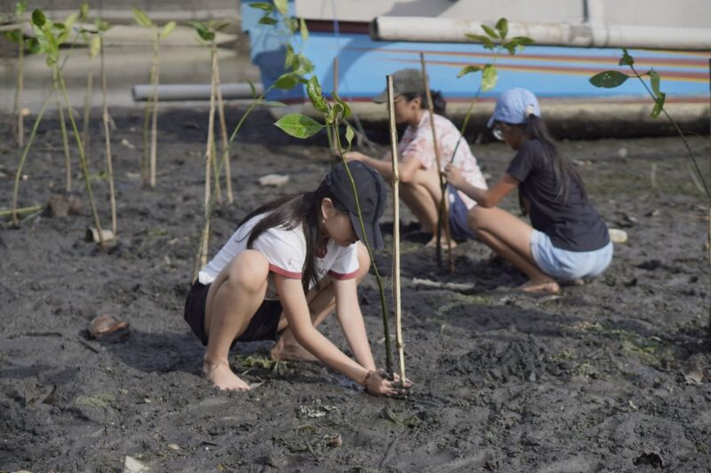 Foto Donasi Pohon LindungiHutan – Generasi Muda Kini Bisa Beri Dampak Nyata Lewat Donasi Pohon Rp25 Ribu | Bisnis | inews.network