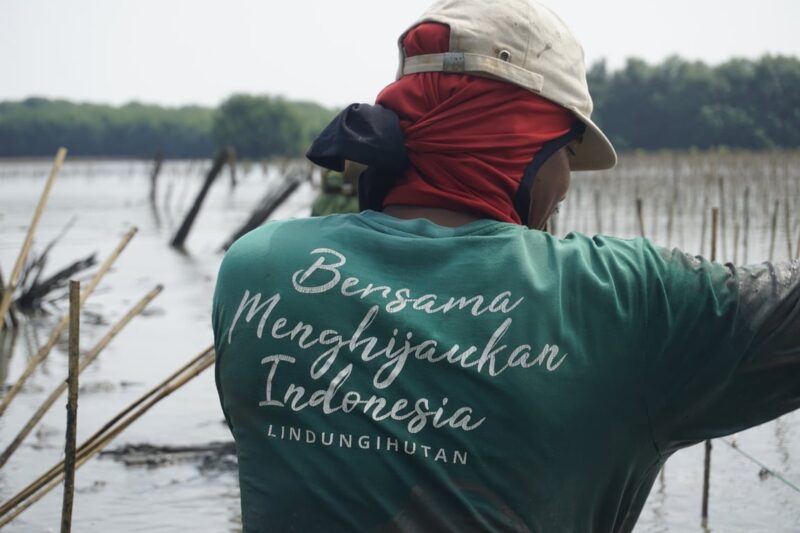 Foto LindungiHutan Peringati International Plastic Bag Free Day – Peringati International Plastic Bag Free Day, LindungiHutan Gaungkan Kolaborasi Hijau | Bisnis | inews.network