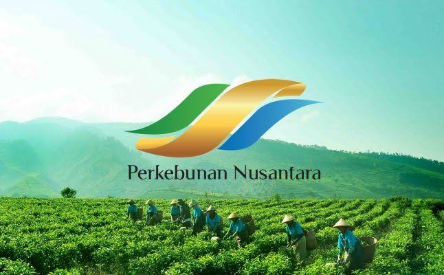 Foto PTPN – Holding Perkebunan Nusantara Dorong Produk Bernilai Tinggi, Teh Malabar PTPN I Tembus Pasar Premium | Bisnis | inews.network