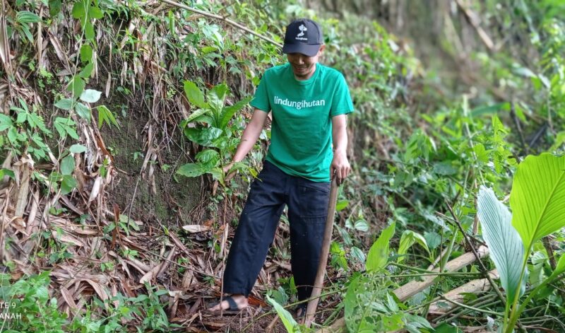 Foto Tiga Lokasi Penanaman Paling Mendesak – Tiga Lokasi Penanaman Paling Mendesak Tahun Ini: Wonogiri, Cilacap, Mempawah | Bisnis | inews.network