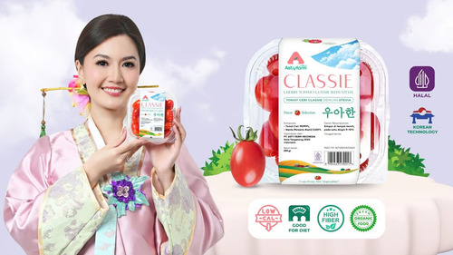 Foto Cherry Tomato Stevia Premium – Artis Asty Ananta Hadirkan Cherry Tomato Stevia Premium Pertama di Indonesia dengan Inovasi teknologi Infusion | Nasional | inews.network