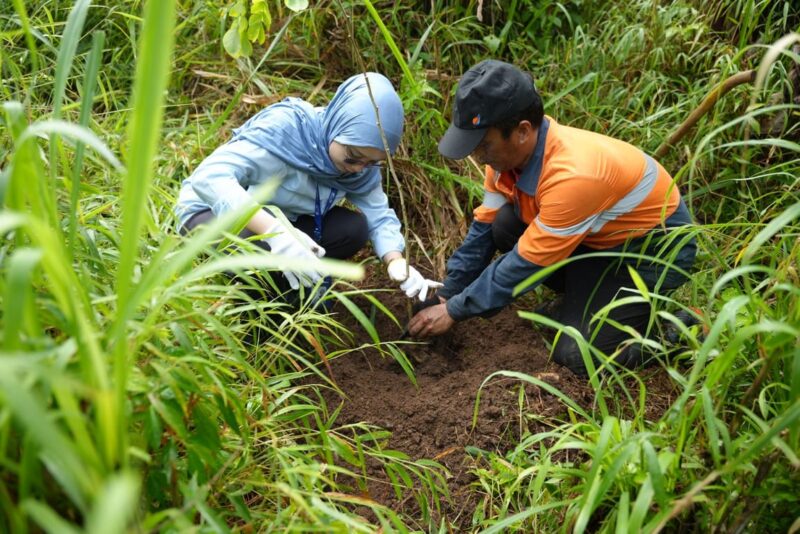 Foto WSBP Tanam Pohon Trembesi – Jaga Kelestarian Alam Indonesia, WSBP Kembali Tanam 536 Pohon Trembesi | Bisnis | inews.network