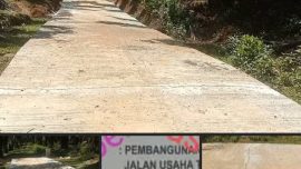 Foto Jalan Rabat Desa Selubuk Retak Sebelum Dimanfaatkan Warga Pertanyakan Kualitas dan Dugaan Proyek Asal Jadi – Jalan Rabat Desa Selubuk Retak Sebelum Dimanfaatkan: Warga Pertanyakan Kualitas dan Dugaan “Proyek Asal Jadi” | Dugaan Korupsi Dana Desa | inews.network