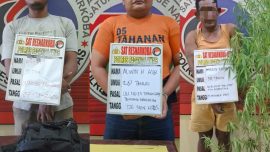 Petugas Satres Narkoba Polres Padang Lawas memperlihatkan barang bukti ganja dan sabu hasil operasi dua pekan terakhir.