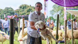 Foto IMG 20260522 WA0148 – Kontes Ternak dan Jambore Inseminator 2026 Perkuat Optimisme Peternak Jateng | Headline | inews.network